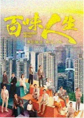 雾港迷雾 剧集在线观看免费高清